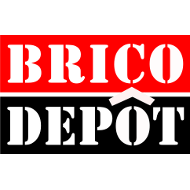Logo-Brico-Depot